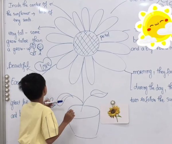 Bé Louis thuyết trình tiếng Anh cực đáng yêu về hoa hướng dương